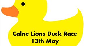 Calne Lions Duck Race