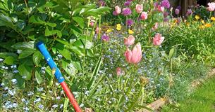 Festival of Blossom: spinning demonstrations