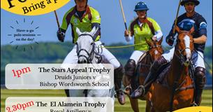 Stars Appeal Polo Picnic - Salisbury