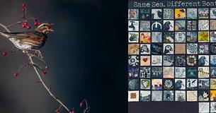 Picture This and Same Sea, Different Boat Exhibition