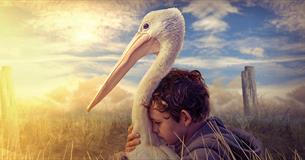 FILM: Storm Boy