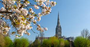 Threads through Creation - Salisbury Cathedral