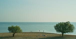 FILM: Window to the Sea