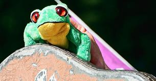 Froggy's Famous Fan Club
