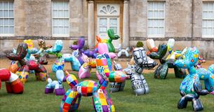The Big Dog Art Trail (Swindogs)