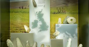 Neolithic Axe Display