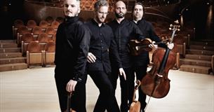 QUARTETTO DI CREMONA ITALIAN POSTCARDS