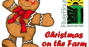 Christmas Fun on the Farm + Christmas Market
