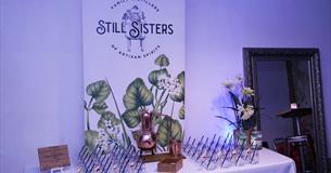 Still Sisters pop-up Gin Tasting Experience