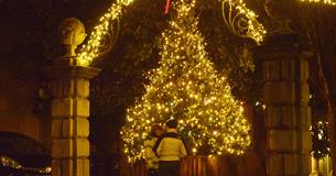 BOA Christmas Lights Switch-On