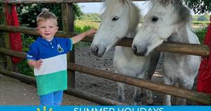 Summer Holidays Fun on the Farm!