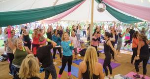 VERVE Wellness Festival