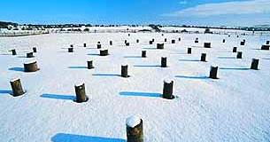 Woodhenge, Amesbury