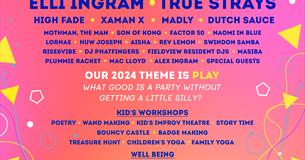 Fieldview Festival