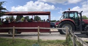 A Day on the Farm