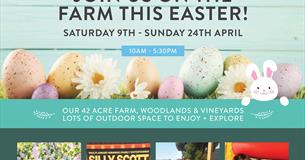 Easter Holiday Eggcitement