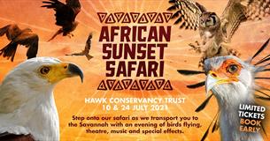 African Sunset Safari