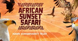 African Sunset Safari