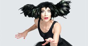 An Evening Without Kate Bush