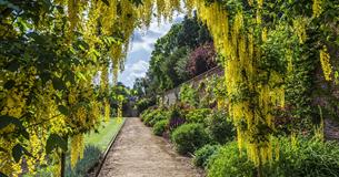 Private Walled Garden Tours