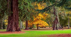 CLIVE NICHOLS PHOTOGRAPHY WORKSHOPS