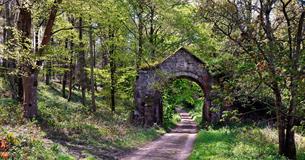 Archway in Wardour Woods, Tisbury