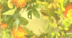 Autumn Floristry Workshops at Bowood