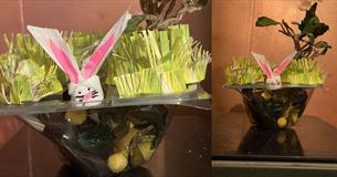 Baby Bunny Burrows