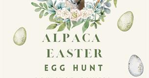 Alpaca Easter Egg hunt