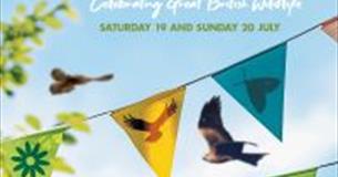 Big Wild Weekend