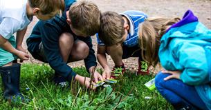 Biodiversity Detectives - family trail at Westonbirt