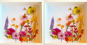 Botanical Boxed Paper Relief with Anya Beaumont