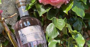 Gin-Lovers Afternoon Tea Delight at Bowood Hotel
