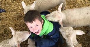 Roves Farm Visitor Centre