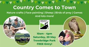 Country Comes to Town