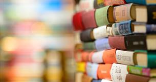 The Power of the Particular: Brief Lives Creative Writing Workshops