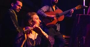 CarmenCo: A Pocket Opera