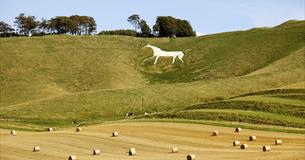 The White Horse at Cherhill