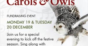 Christmas Carols and Owls