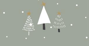 Christmas Tasters & Makers Market