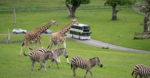 Longleat - Travel Trade