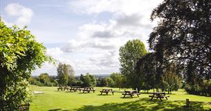 Nordic Walking Wellness Session