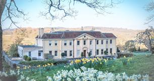 Fonthill House Charity Garden Opening