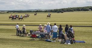 Druids Lodge Picnic Polo