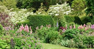 Fonthill House Charity Garden Opening