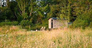 Marshwood Farm Camping - Shepherds Hut