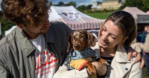 DogFest Ashton