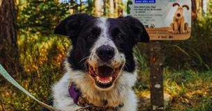 Forest Walkies with Wallace & Gromit at Westonbirt