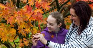 Drawn to Nature Autumn Trail - all ages