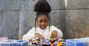 The Big Brick Build